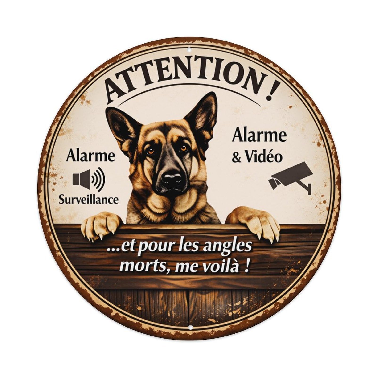 Attention Alarm Surveillance Dog Video Security Metal Tin Sign Plaque
