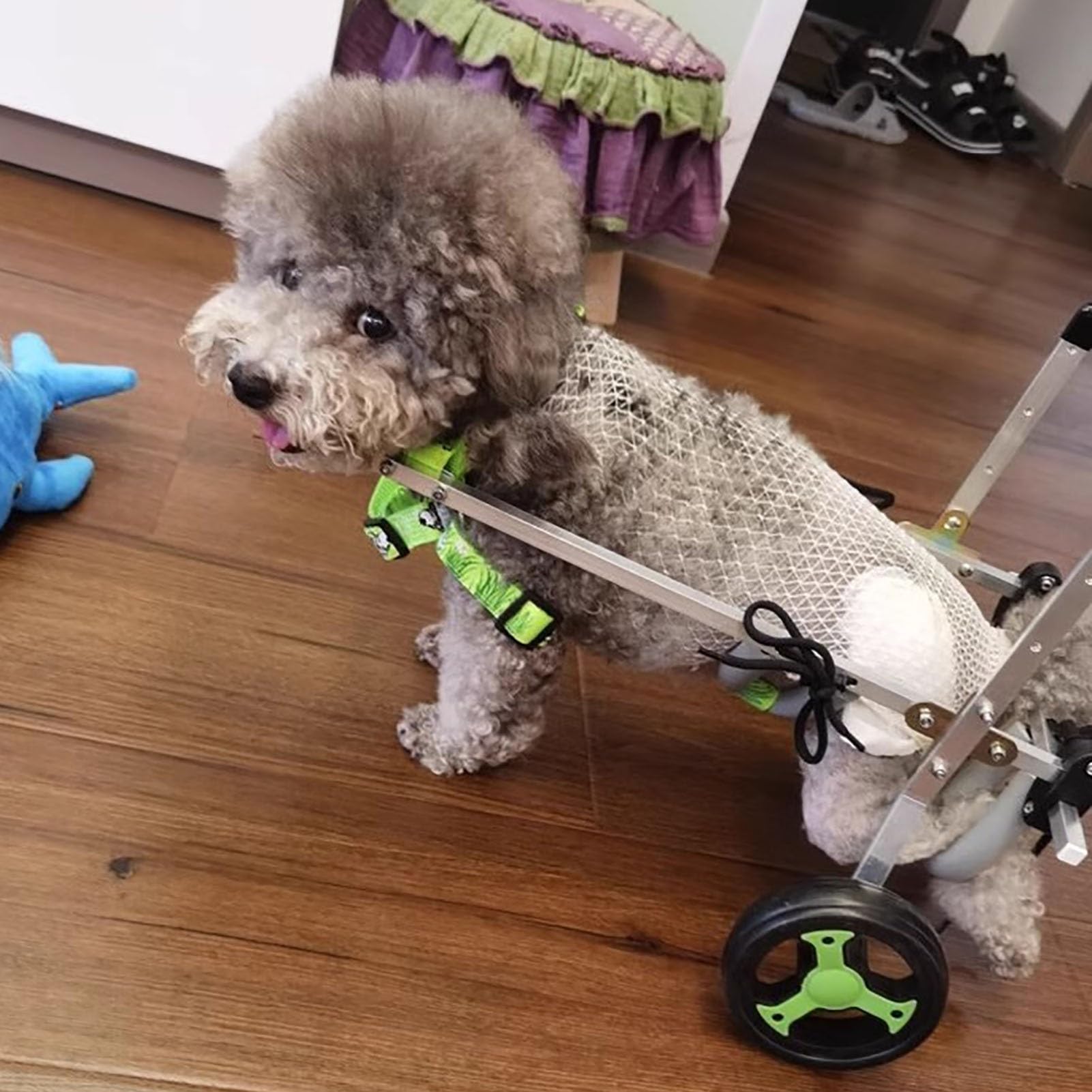Silla de ruedas todoterreno para perros: rodillera ajustable de cadera