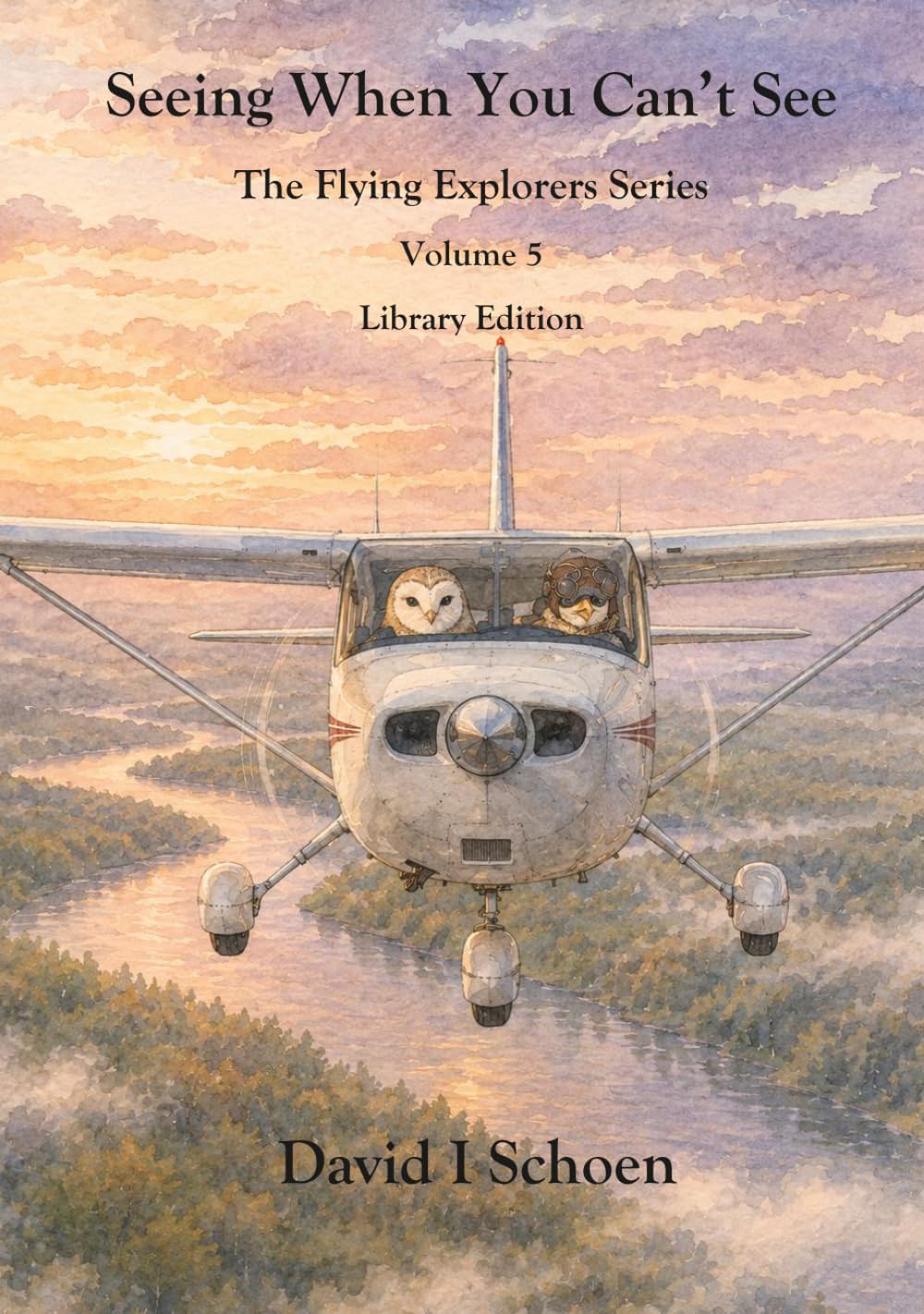Seeing When You Can't See: The Flying Explorers Series, Volume 5, Full Color Library Edition (The Flying Explorers Series - Library Editions)