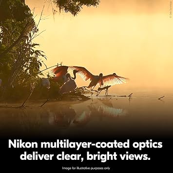 Nikon Action Zoom 10-22x50 Dürbün | Çok Katmanlı Kaplamalı Nikon Optik, Büyük Objektif Lensler ve Tripod'a Hazır Porro-Prizma Tasarımlı Yüksek Güçlü Zoom Dürbünleri | 10-22x Zoom, 50mm Hedefler, Porro Prizmalar, Çok Kaplamalı Optik, Kauçuk Zırhlı Alüminyum Alaşımlı Gövde