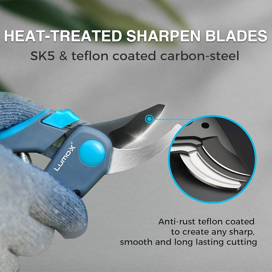 negiフォーム Bloom