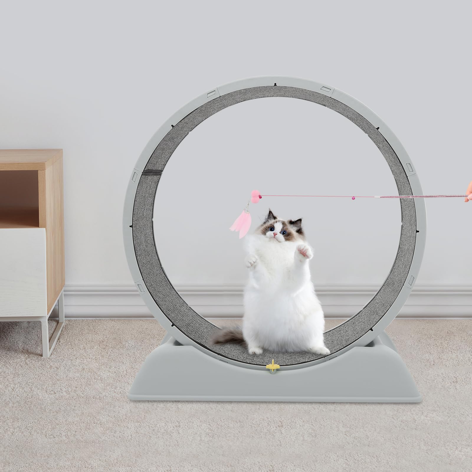 Rueda para gatos de 80 cm, silenciosa, con cerradura de seguridad, rueda grande para gatos domésticos, dispositivo de fitness para interiores con alfombra extraíble y protección contra