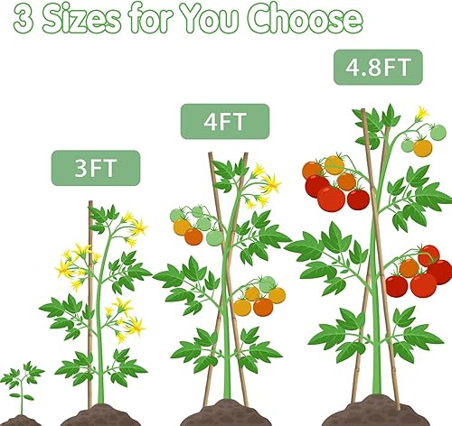 Miniatura 3 de Estacas de bambú natural de 3 pies para jardín, 25 estacas de bambú para plantas, palos de bambú para tomate, frijoles, vegetales y plantas