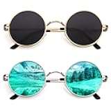 Retro Steampunk Style Inspired Round Metal Circle Polarized Sunglasses for Women Men