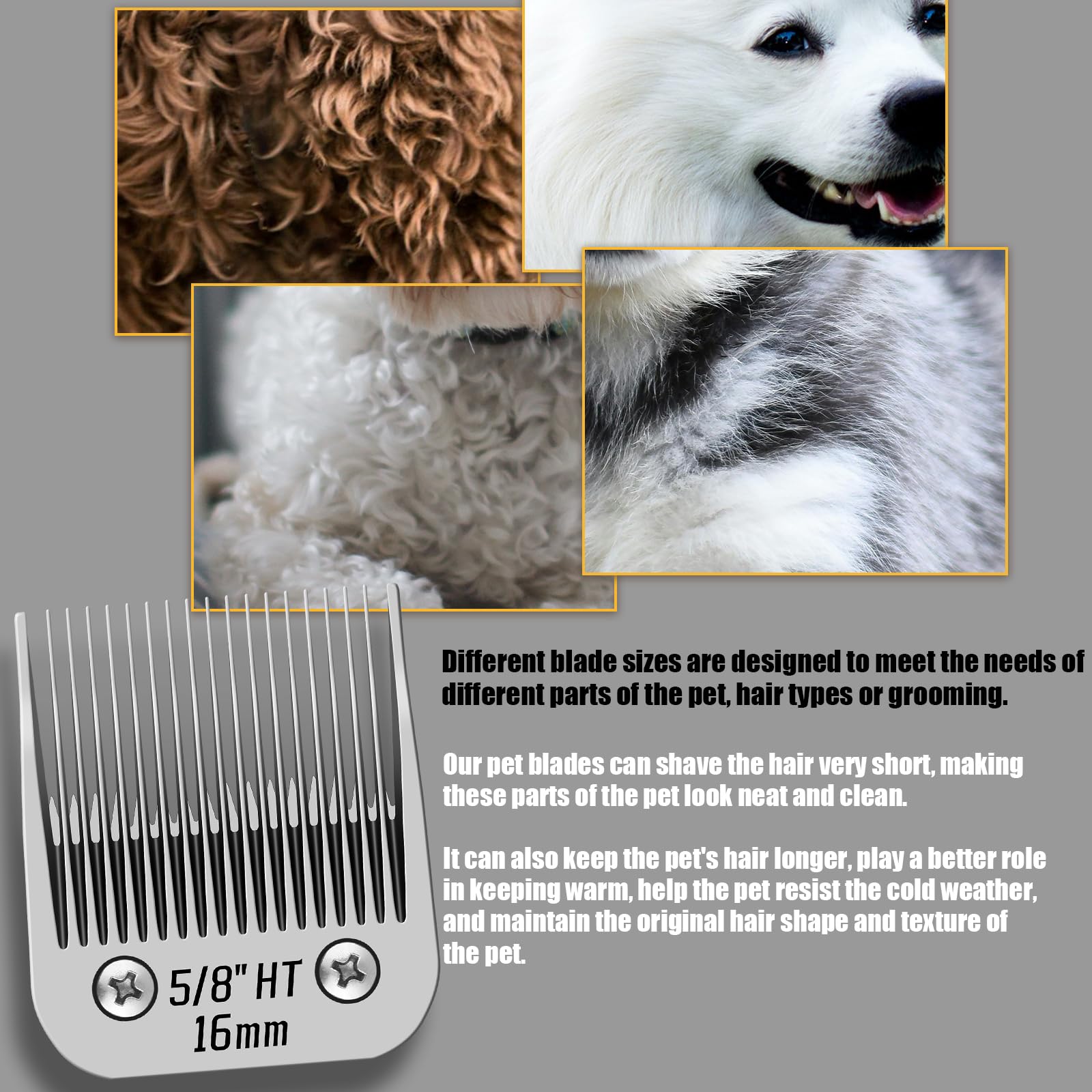 Lame staccabili per tosatrice per cani da compagnia 5/8HT, compatibili con tosatrici Andis/Oster A5/Wahl/Heiniger/moser, lunghezza di taglio 5/8 pollici, realizzate con lama in acciaio inossidabile