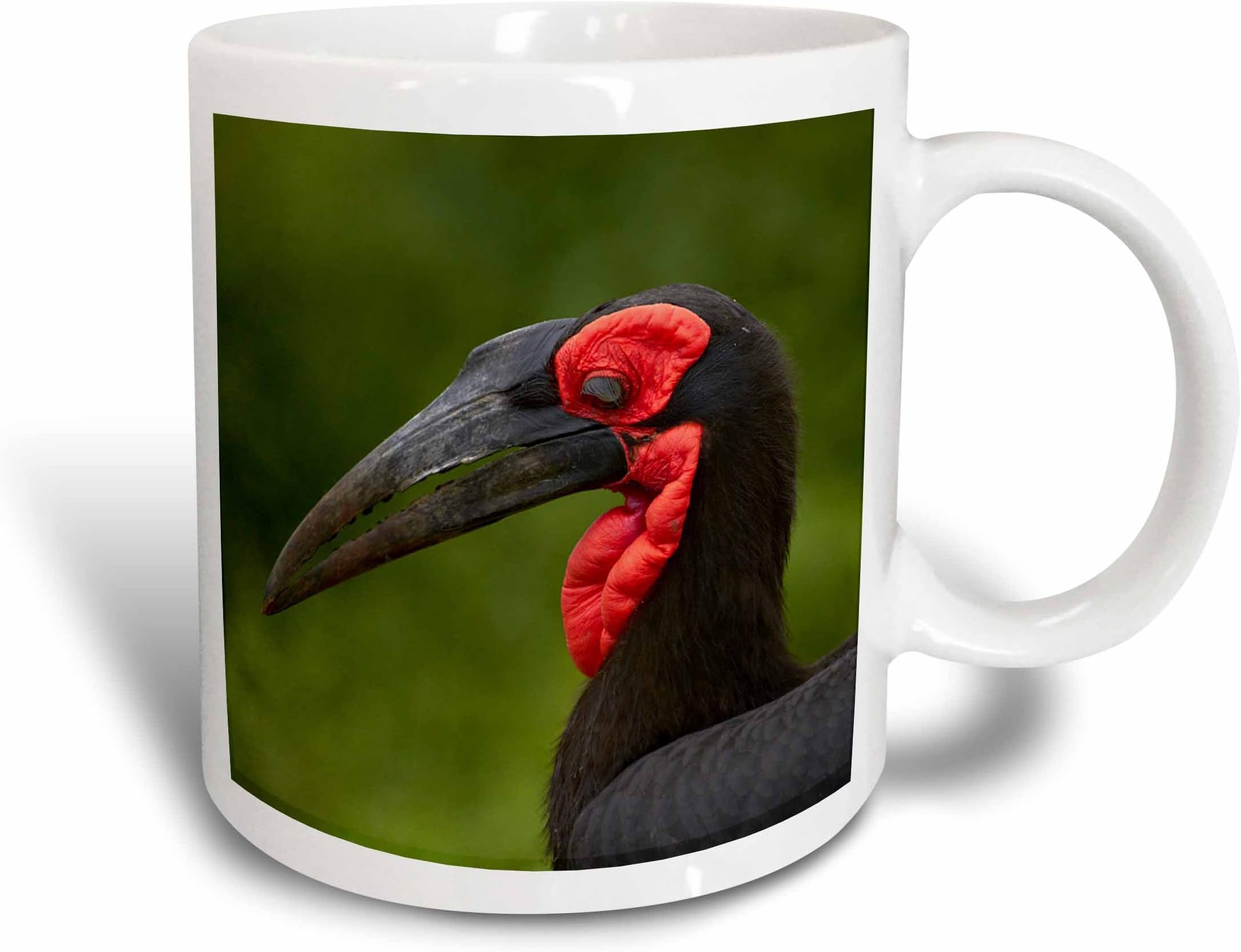 3dRoseSouthern Ground Hornbill, Bucorvus Leadbeateri, Kruger National Park,South Africa Ceramic Mug, 15 oz, Ceramic, White, 11.43 x 8.4499999999999993 x 12.7 cm