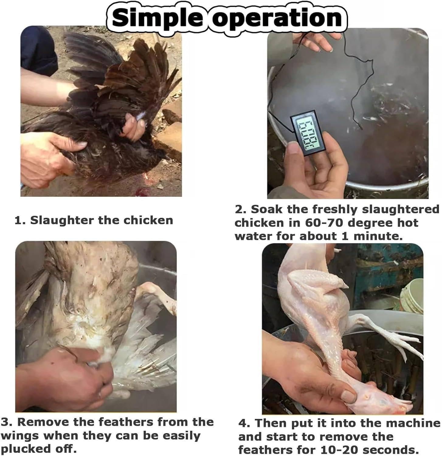 Macchina di spennatura del pollo, 210W Plucker elettrico del pollo, Macchina di raccolta del pollame dell'acciaio inossidabile, 3-5 piccole capacità di pollo una volta, piuma rapida, per la