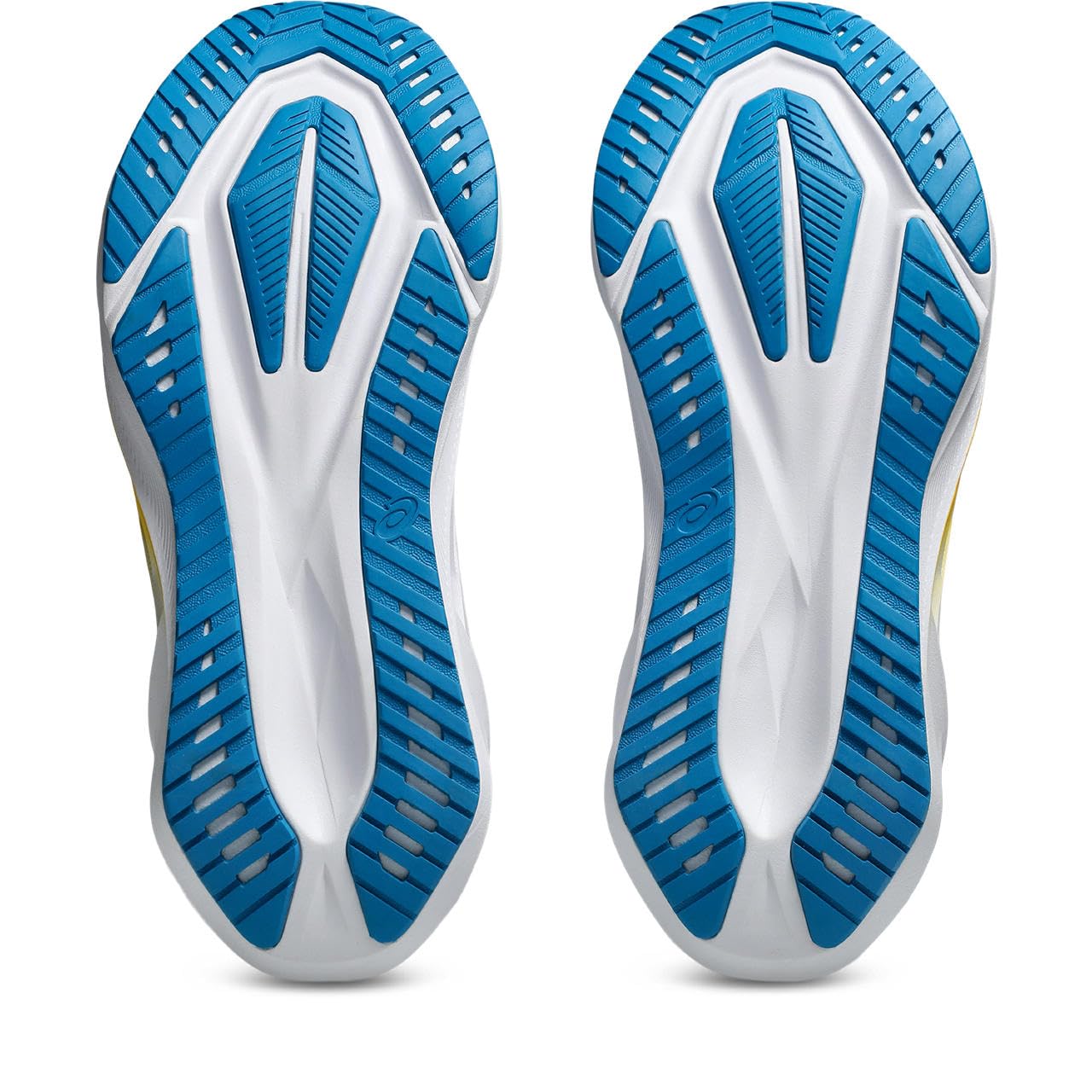Asics NOVABLAST 5 Sneaker