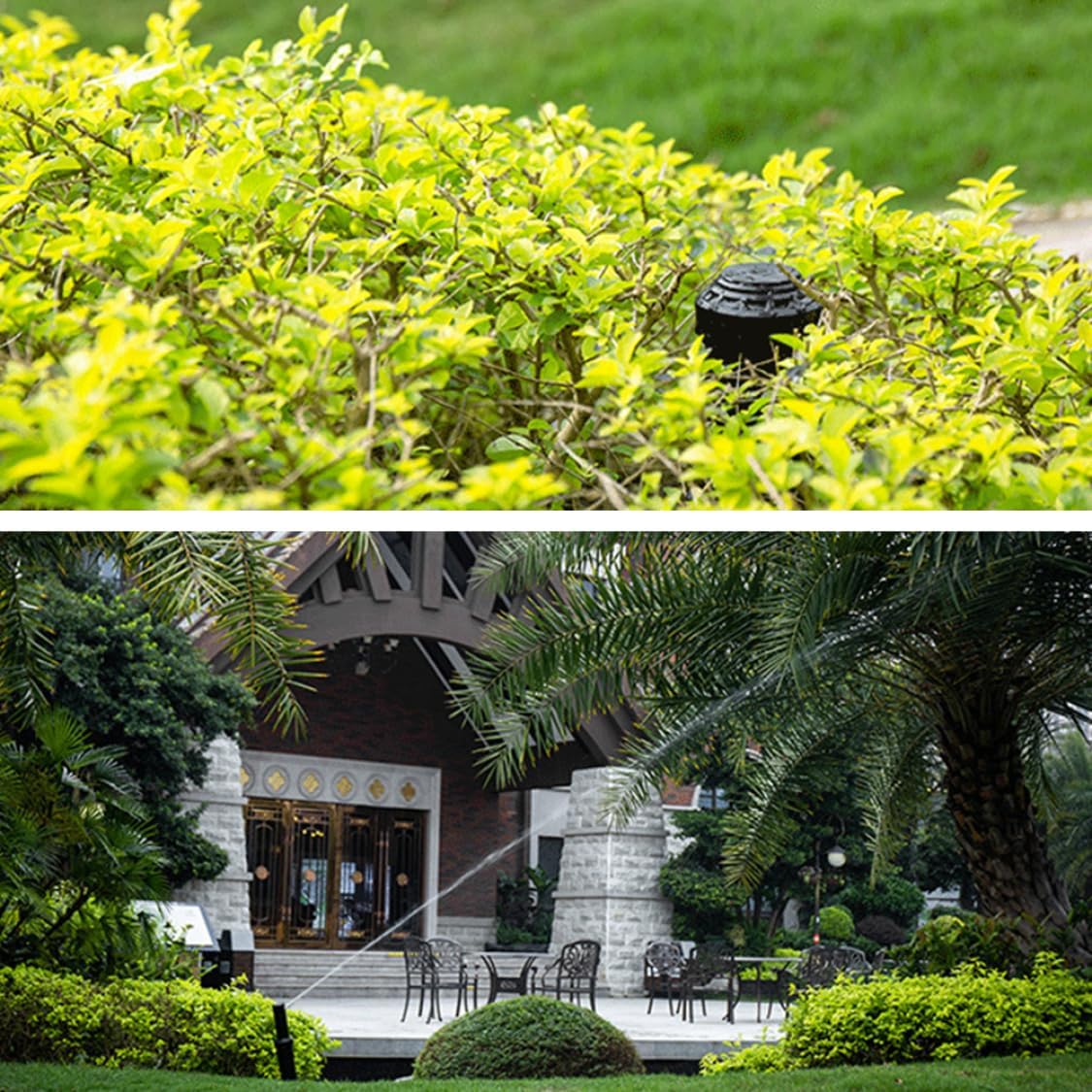 Up Sprinkler Head Garden Spray Nozzle Lawn Buried Watering Sprinkler Head 12PCS Carrot Noses for Crafts, Snowman Carrot Nose, Noses for Snowmen Crafts, Snowman Nose, Snowm