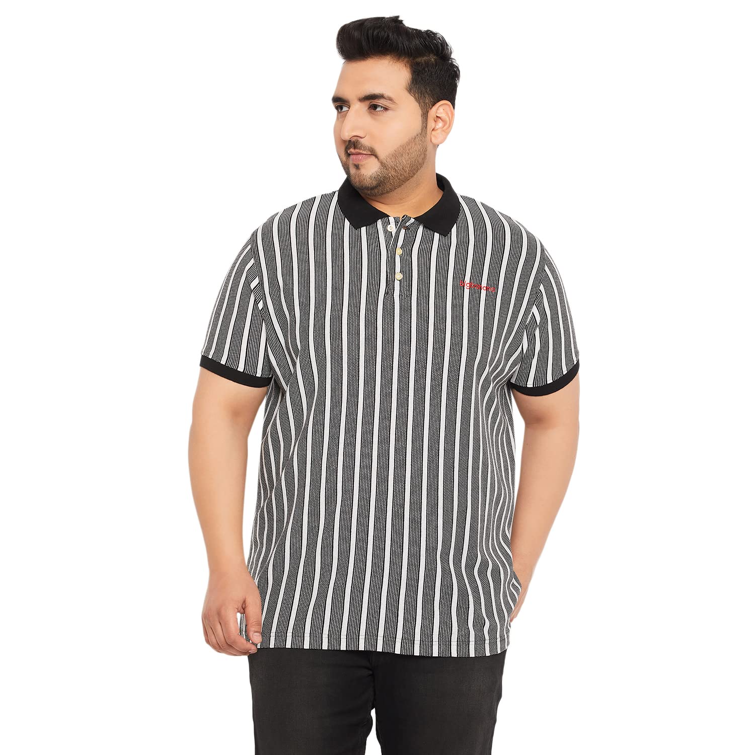 bigbanana Plus Size Men's Regular Fit Striped Polo Tshirt-picture-14