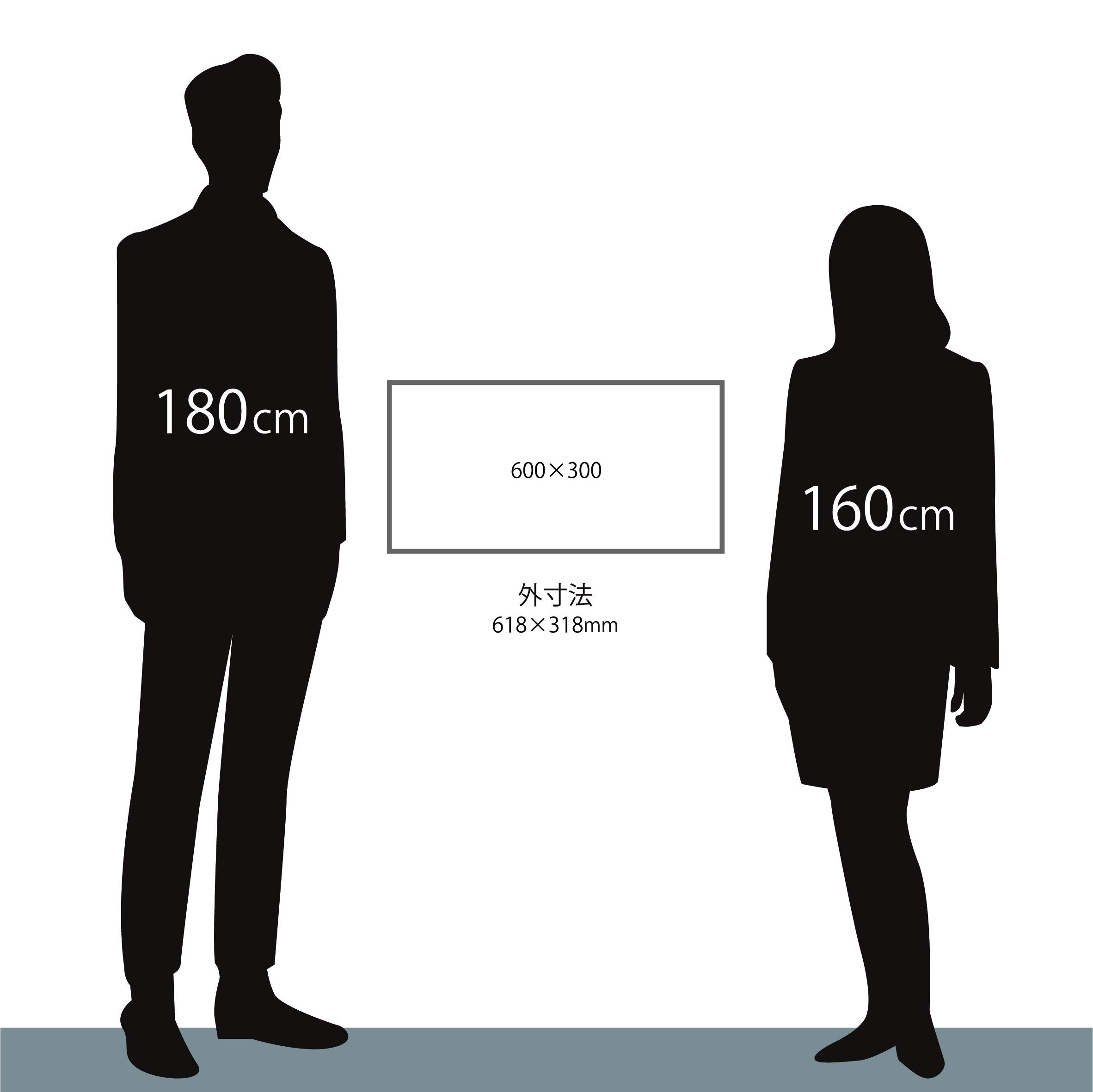 Amazon.co.jp: 大額 横長額 600x300 シルバー 7517 本体サイズ:618×318