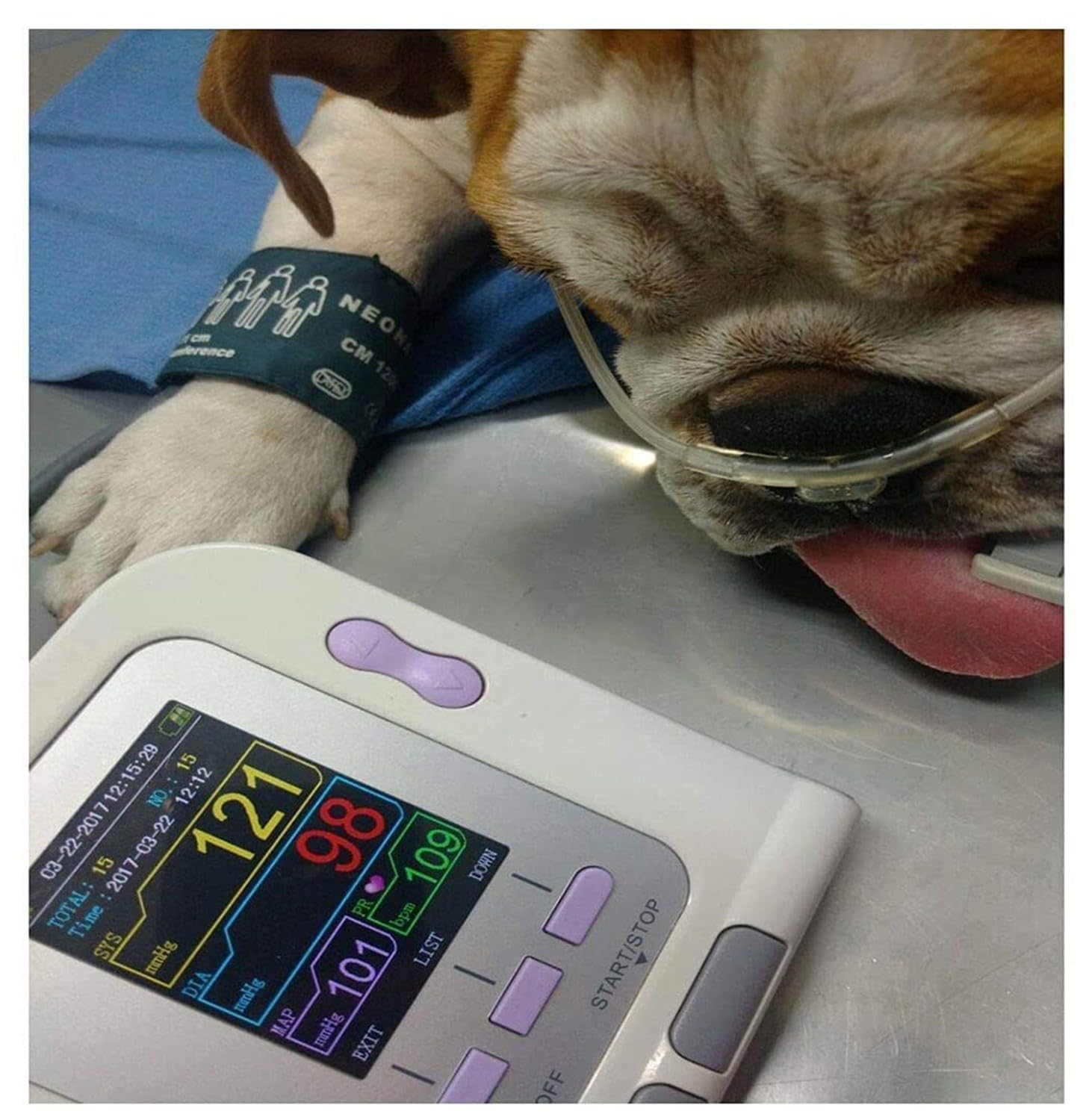 Digital Veterinario Medidor Tension Arterial, Monitor De Presión Arterial Veterinario Digital,Veterinario/Animal Gato/Perro Monitor Electrónico Automático De Presión Arterial