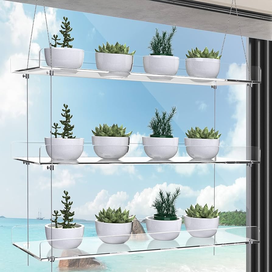 植物棚 71bKGvKtU0L._UF350,350_QL50_.jpg