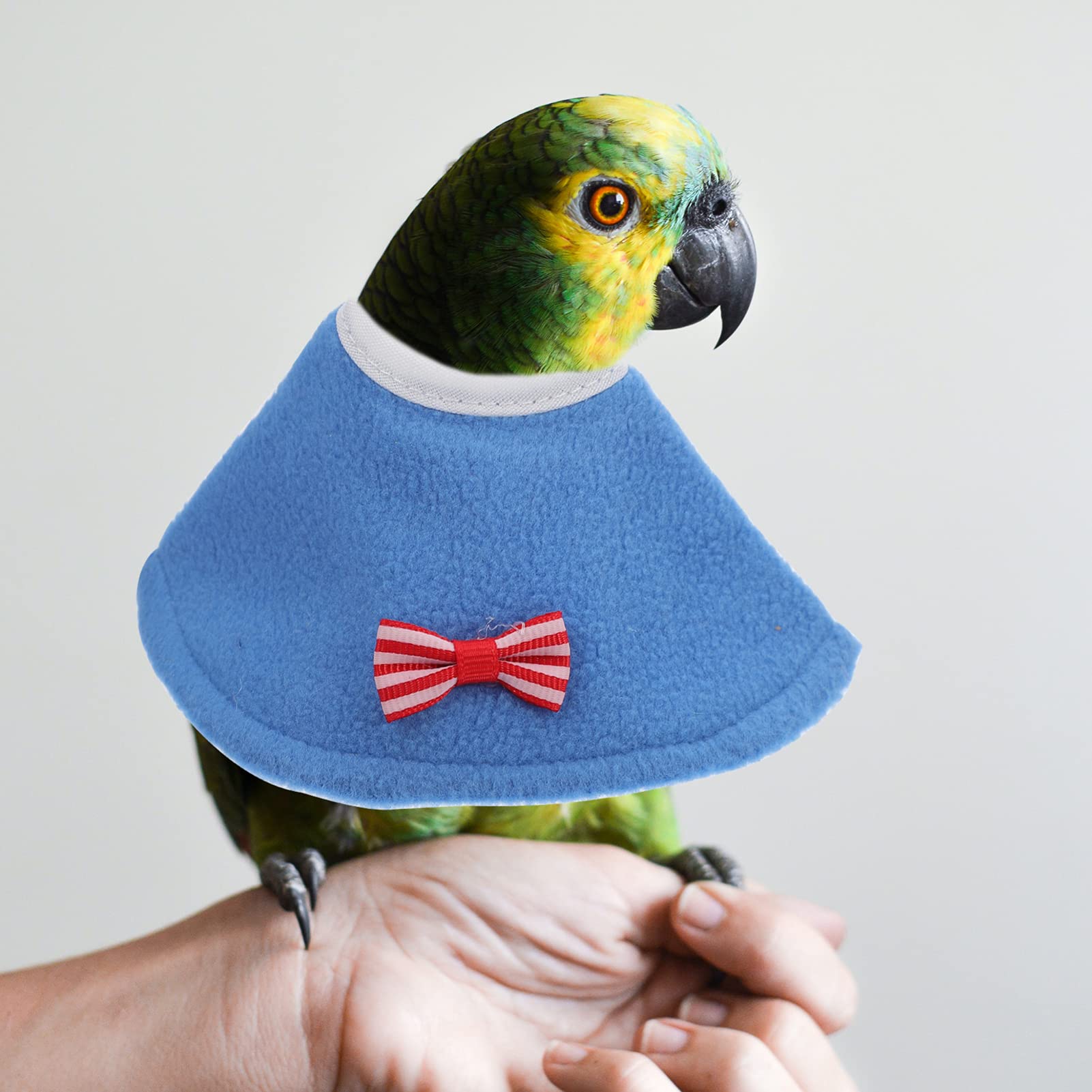 SUPVOX 2 Pcs -Plucking Collar for Parrots Bird Harness for Conure Protective Neck Ring Parrot Neck Collars for African Grey