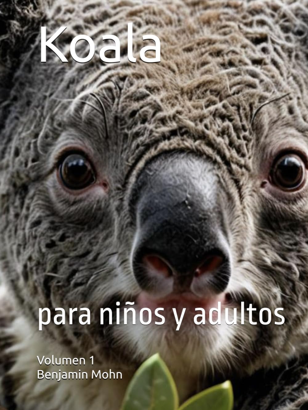 Koala: para niños y adultos