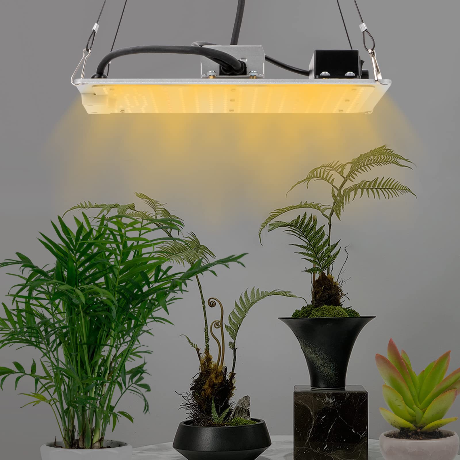 LED élèvent le spectre complet de plante d'intérieur commerciale légère for les plantes à fleurs serre Veg, Refroidissement silencieux