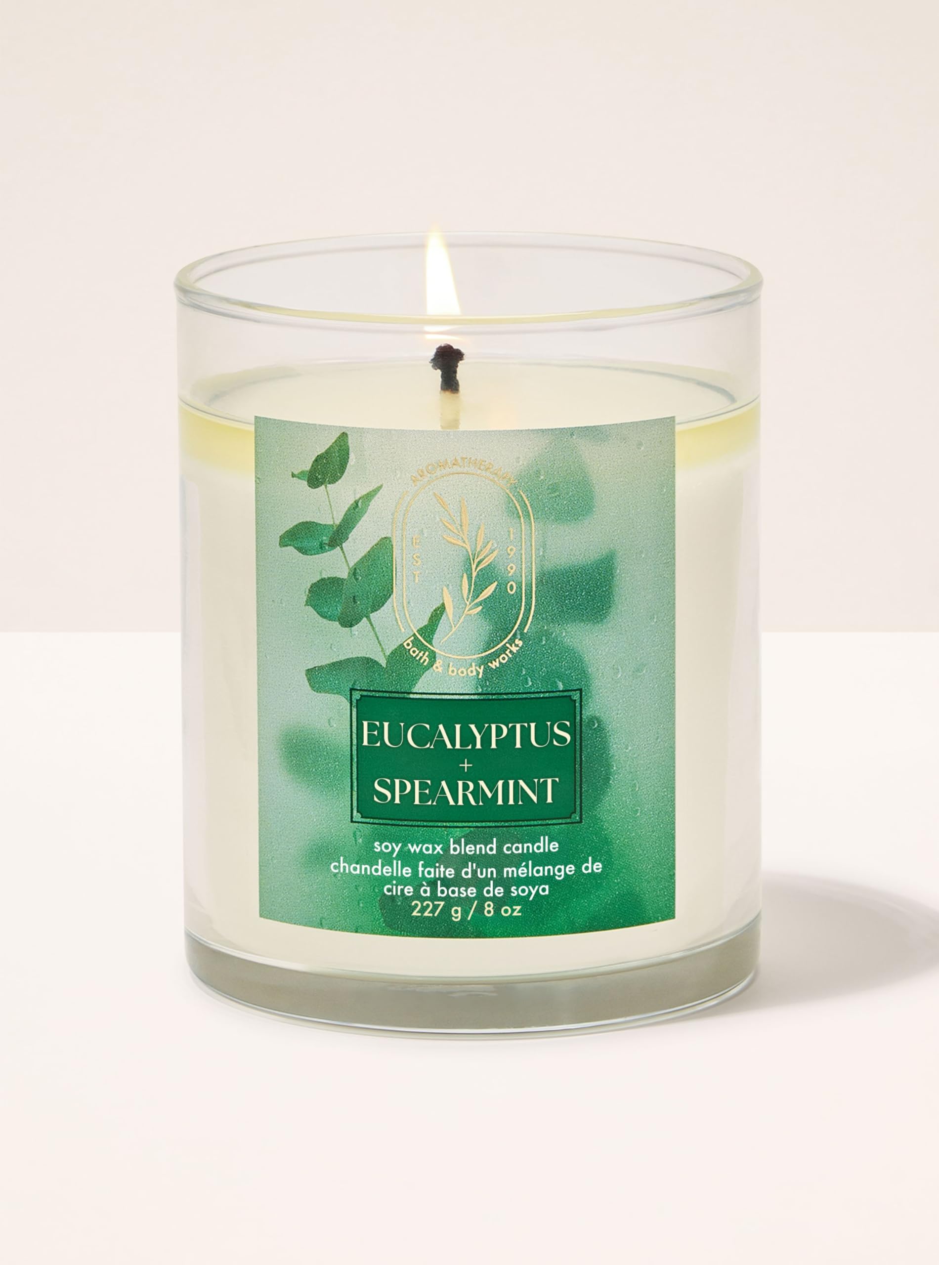 Bath & Body Works Eucalyptus Spearmint Single Wick Candle | 227 g /8 oz | Fragrance - Botanicals & Blooms | Gender - Unisex-picture-24