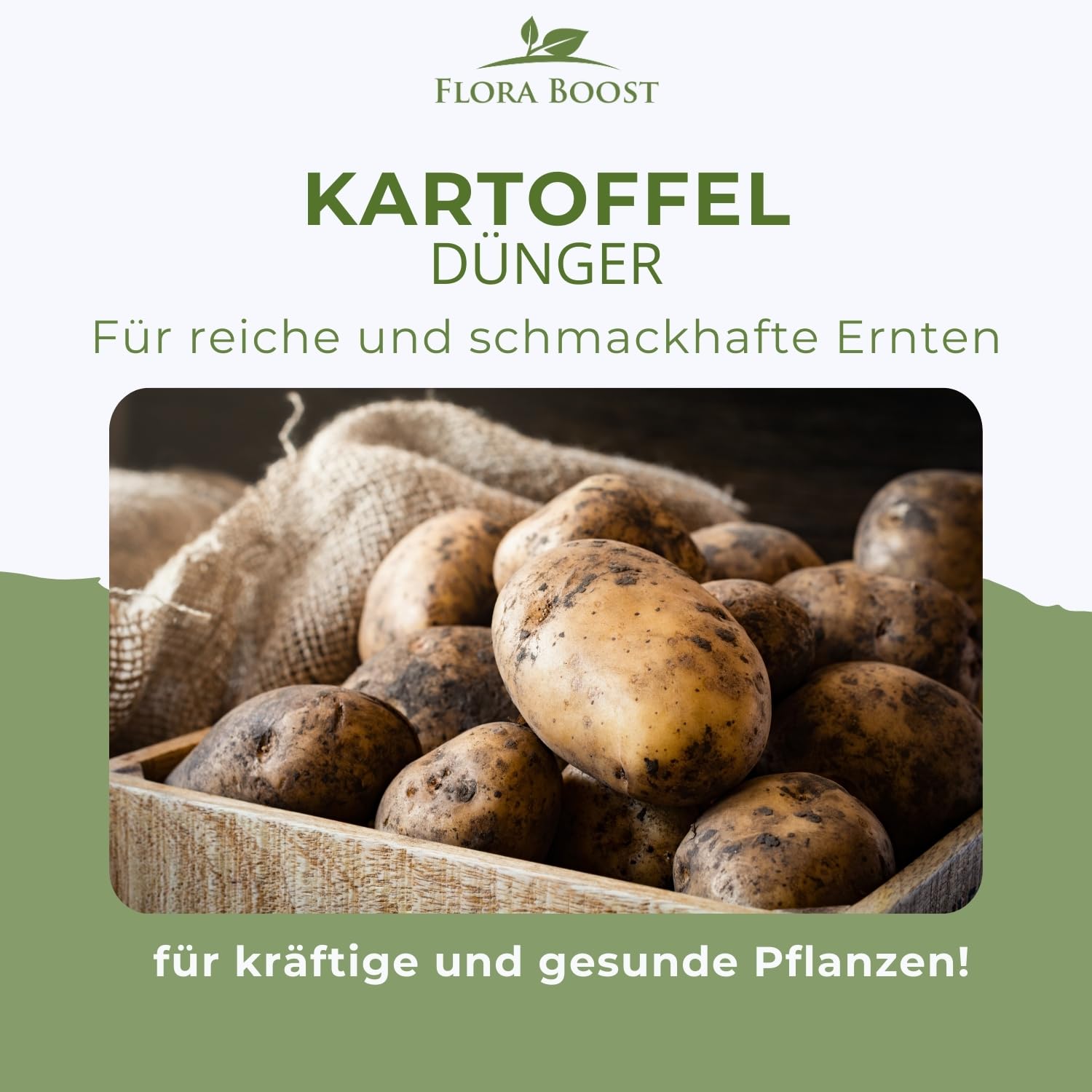 Konfitee Kartoffel Dünger Flora Boost 5000ml I Für bis zu 1000L Gießwasser I Gemüsedünger für Kartoffel Pflanzen I Flüssiger Blatt- & Wurzeldünger I 100% natürlicher Pflanzendünger