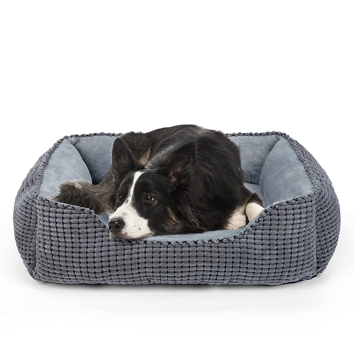Buy JOEJOY Dog Beds Large Washable Sofa Dog Bed , Sraised Dog Bed Or