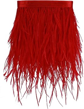 Ostrich Feathers Sewing Fringe Trim Ribbon for Crafts Clothes Accessories Latin Wedding Dress DIY 2 Yards 4-6inch Width 2 Yards, Red