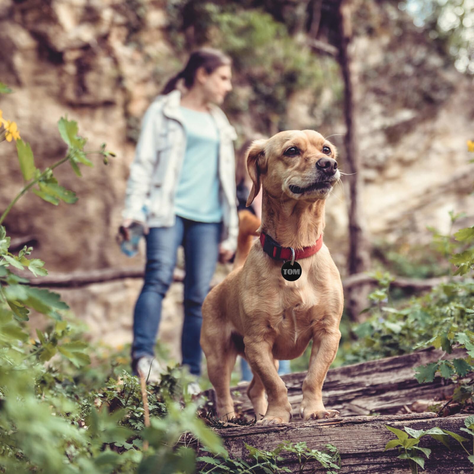 Étiquettes D’identification Chien Rondes en Alliage D’aluminium 25 Pièces