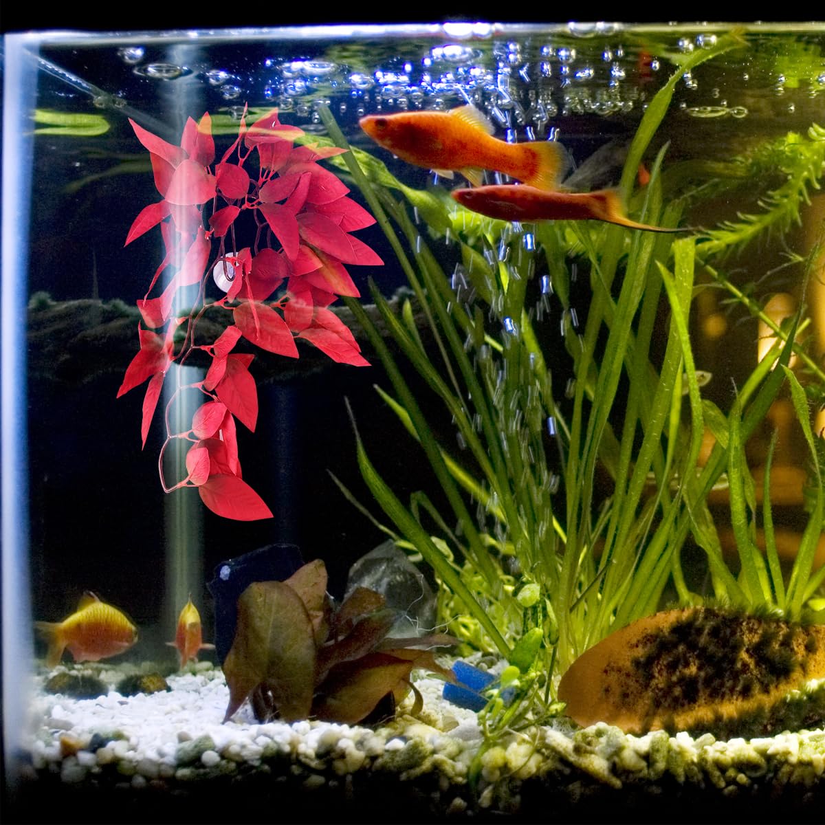 VANZACK Artificial Vine, Plastic Fake Hanging Plants with Sucker - Red for Reptile Terrarium Habitat Decor Aquarium Fish Tank Ornament - Image 3