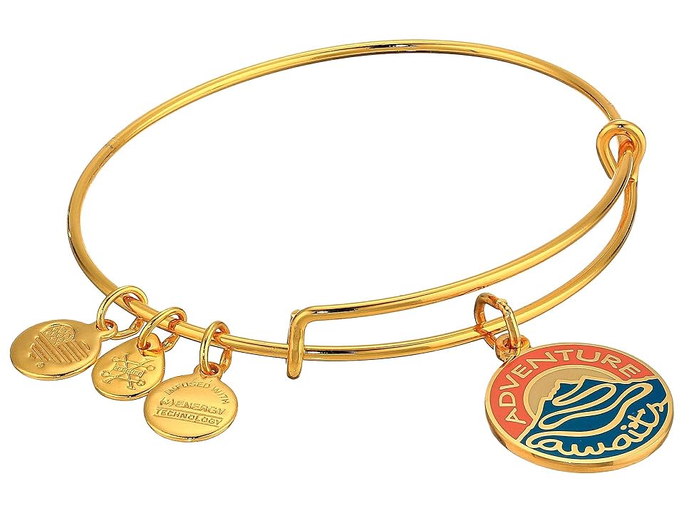 

Alex and Ani Words Are Powerful Adventure Awaits Bangle (Shiny Gold) Bracelet, Metallic