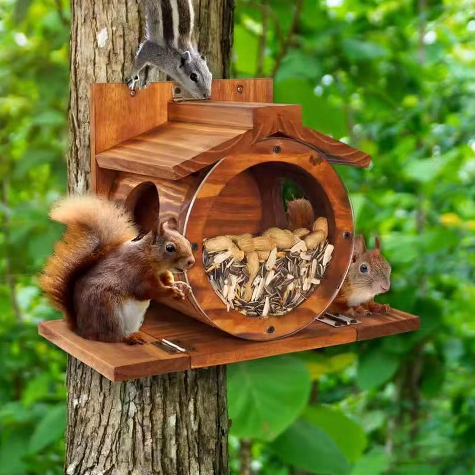 Mangiatoia in legno resistente alle intemperie con finestra di visualizzazione per osservazione degli uccelli all'aperto amanti della natura