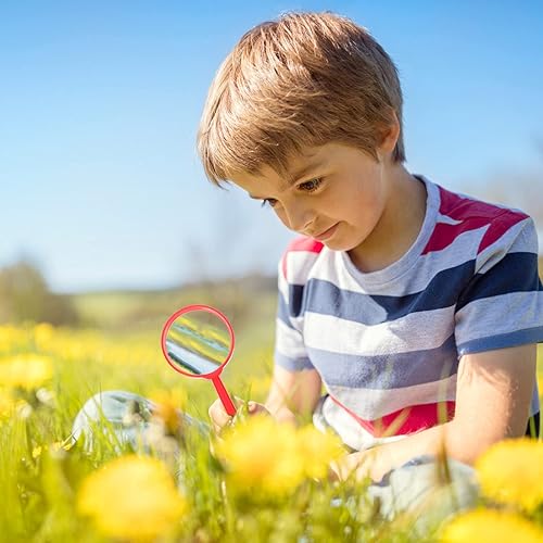 Miniatura 6 de Kit de herramientas de aventura para niños al aire libre, kit de captura de insectos de acrílico, caja de observación, visor de insectos, lupa,