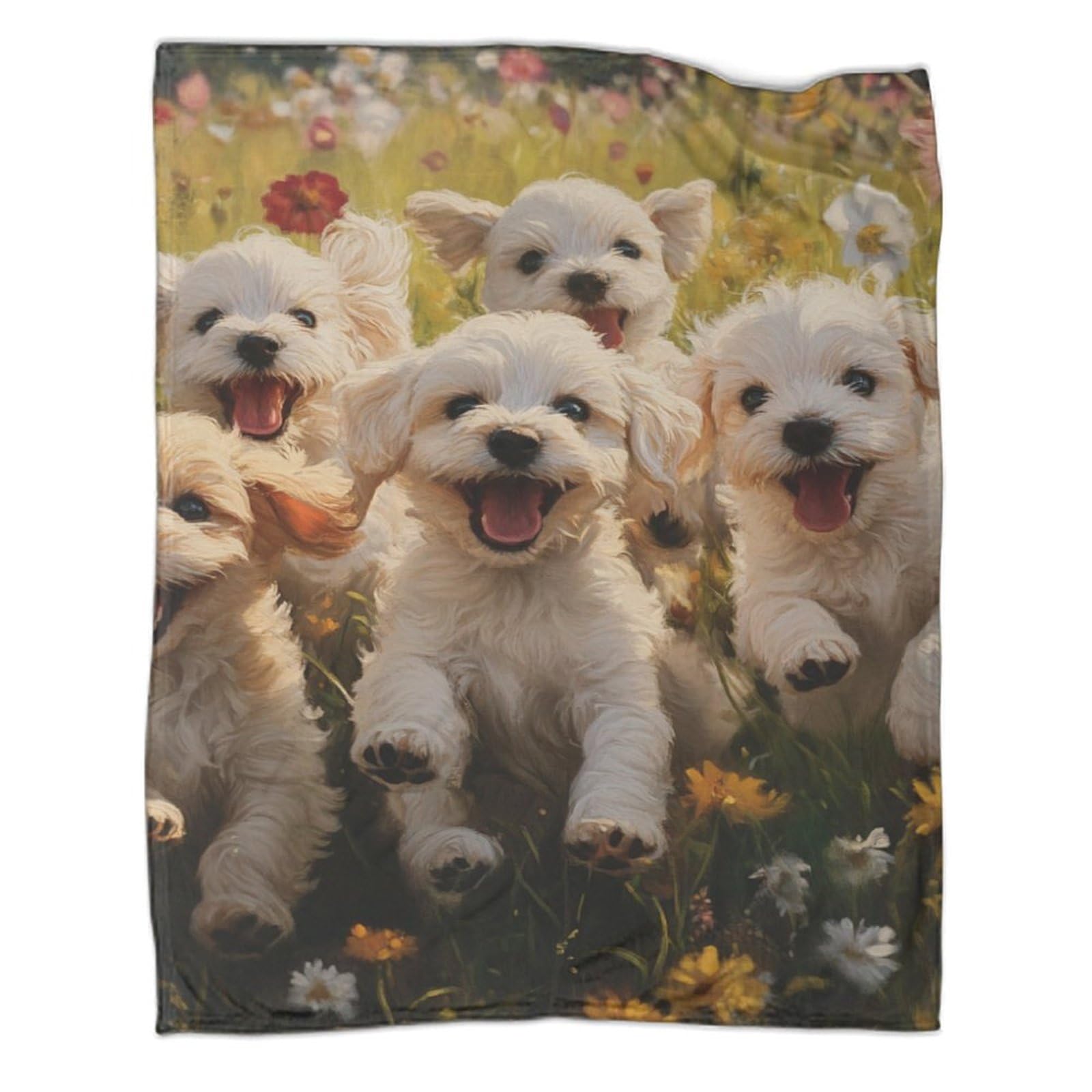 Plaid motif chien maltais doux et réconfortant pour une sensation de bien-être à la maison