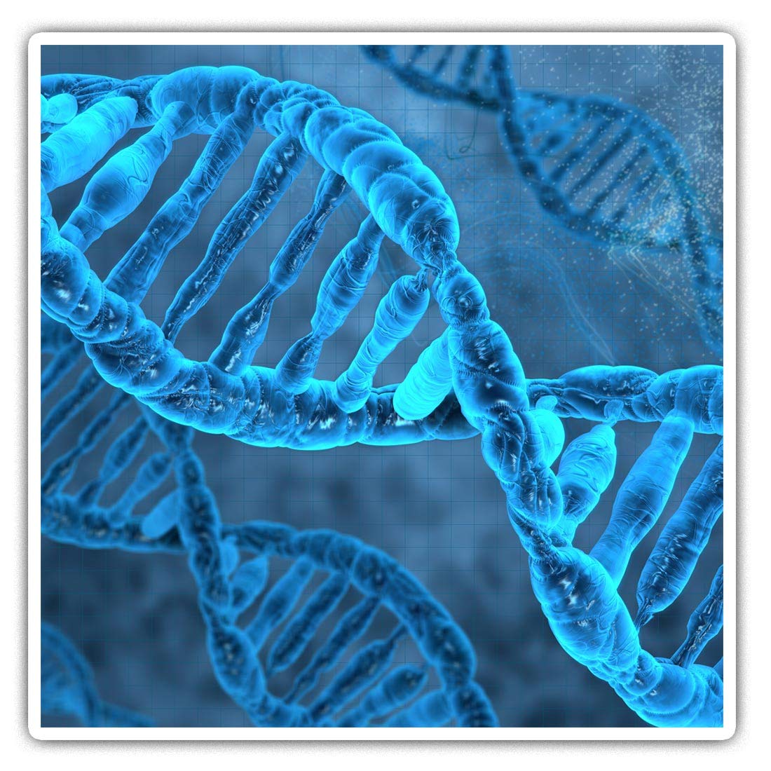 Square Stickers (Set of 2) 10cm - Blue DNA Strand Science Biology Laptop Tablet Luggage Scrapbook #8896