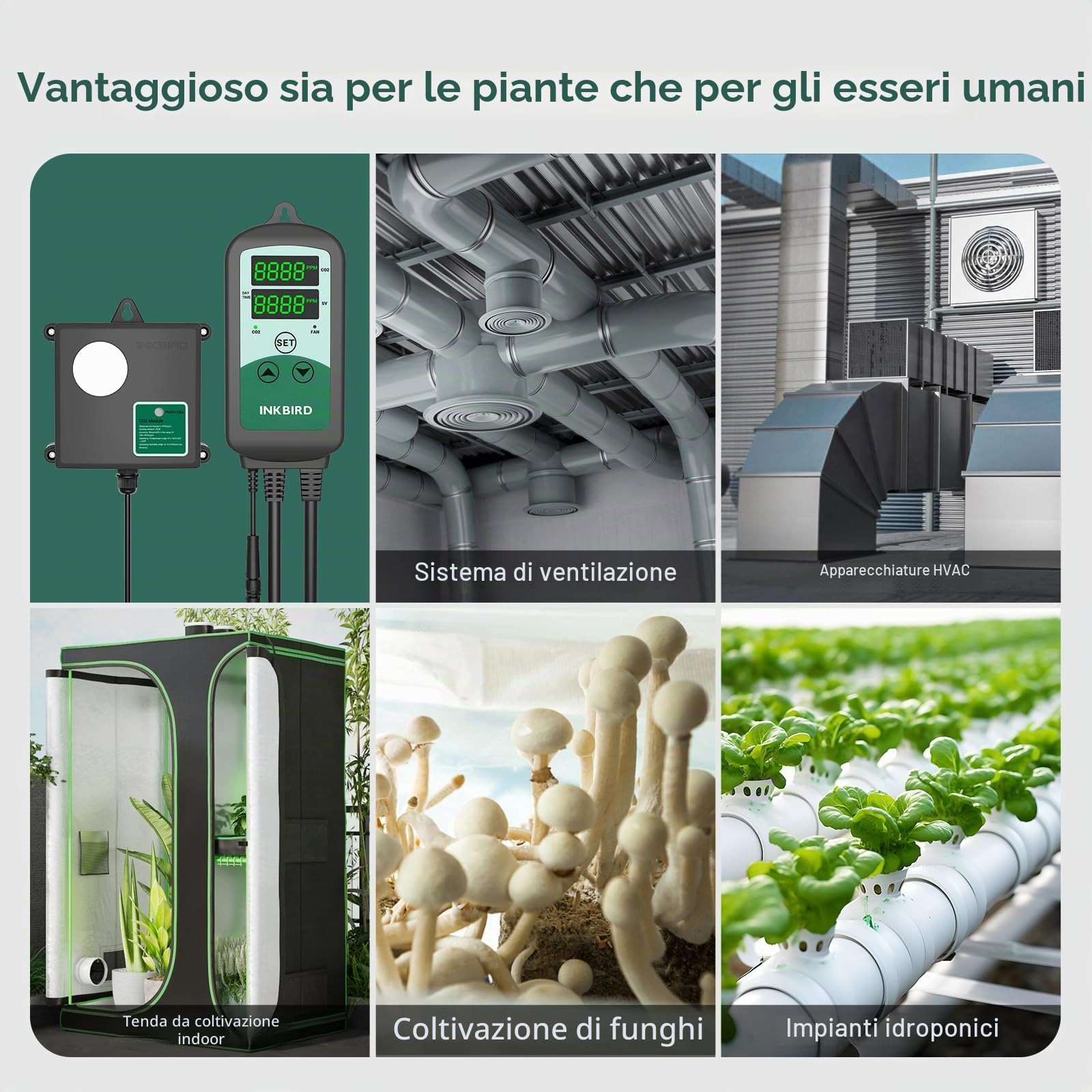 Inkbird ICC-510 Regolatore di CO2 Digitale,Controller di CO2 Programmabile,Monitor di Sistema di Ventilazione,Controllo di CO2 per Serra,Tenda di Coltivazione,Sistema di Ventilazione