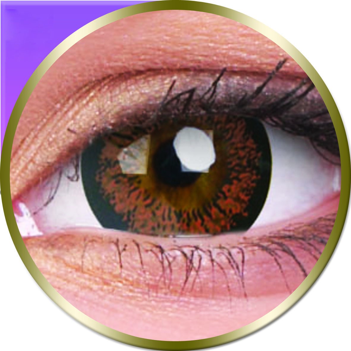 ColorVue Phantasee Monthly Conatct Lens - 2 Units (Angel Hazel) (B071GYDQK4) Amazon Price History, Amazon Price Tracker
