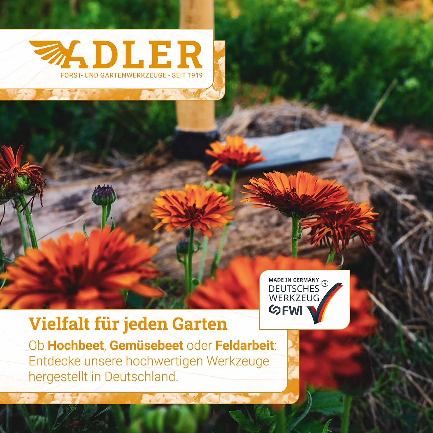 ADLER Zappa Ivy – Zappa da giardino forgiata – C45 acciaio manico in frassino – Made in Germany – Ideale per aiuole, diserbo e allentamento – Certificazione FSC® (naturale, L – 1 350 mm)