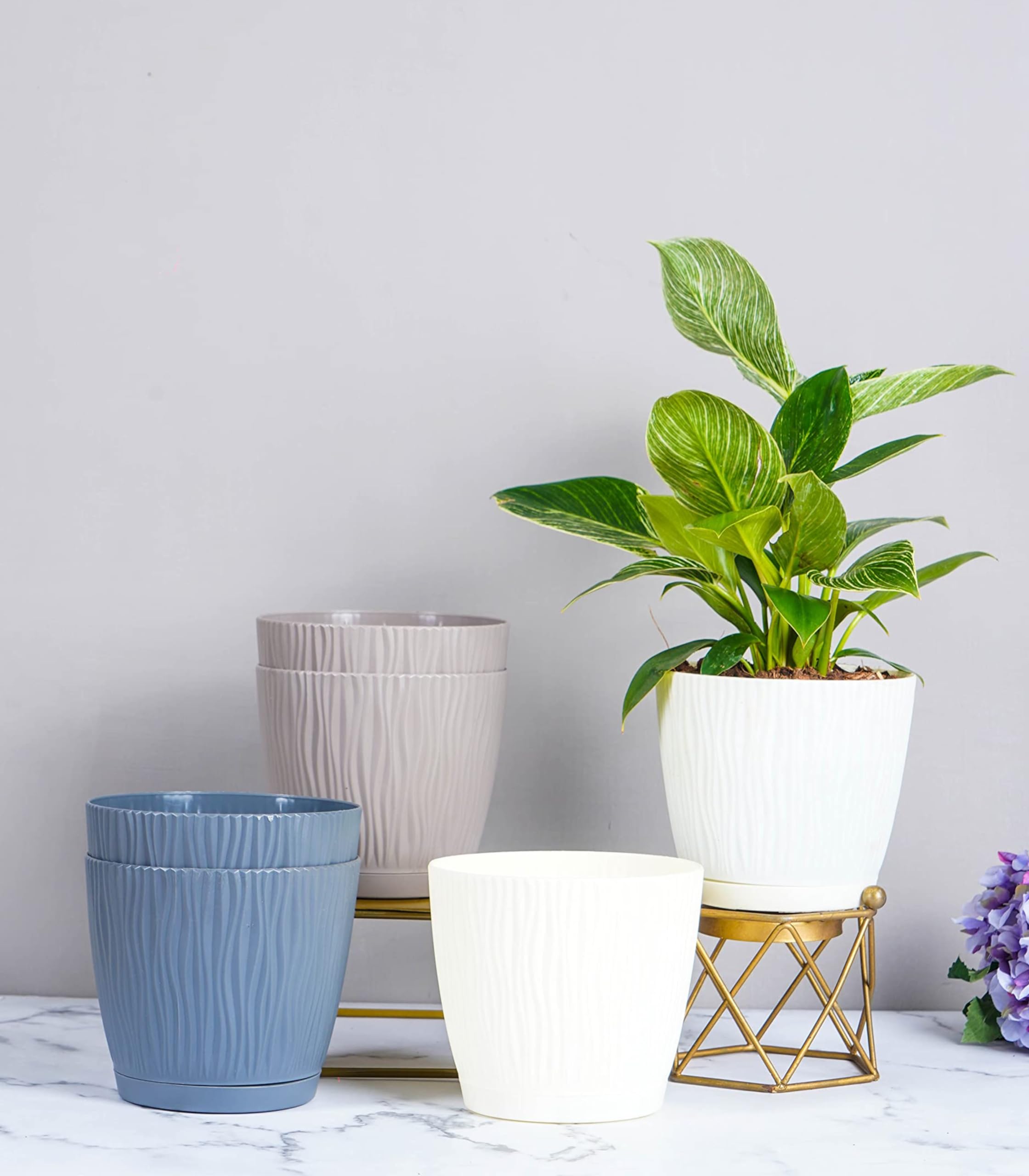Nurturing Green® Set of 6 Assorted Self Watering Plastic Pots for Plants | Indoor Pots for Plants | Plant Pots for Garden Décor (5.5 Inch Wide*5 Inch High) - [Plant & Stand are not Included] (B0BT22KVBM) Amazon Price History, Amazon Price Tracker