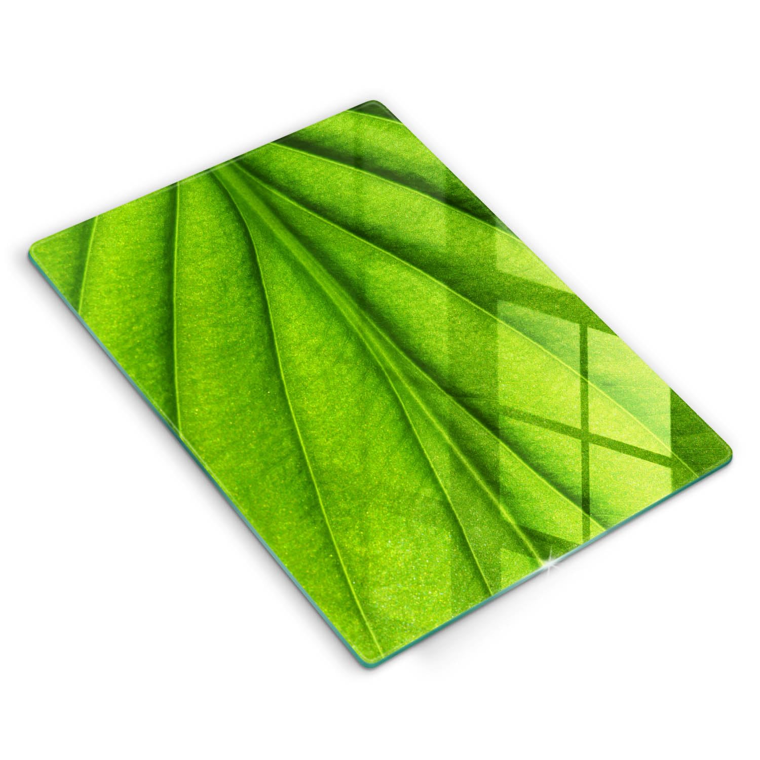 Planche de cuisson résistance protège-plaque 40x52cm multifonctionnelle en matériau durable