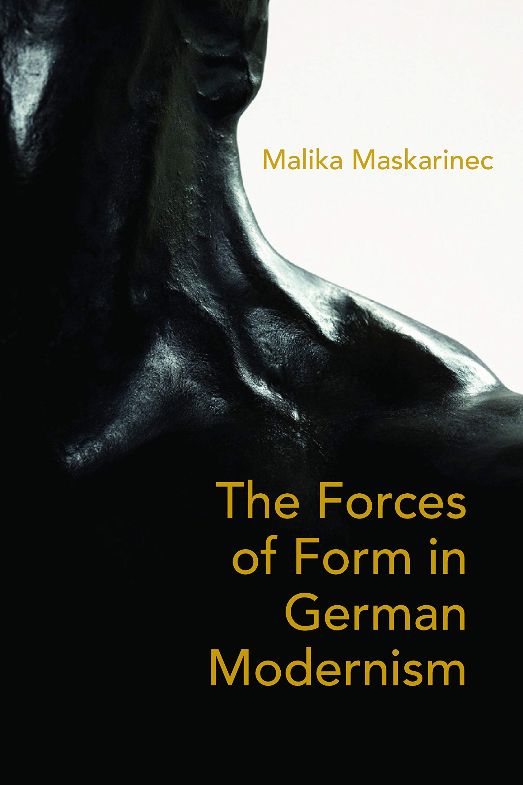 German Modernism livre histoire de l'art modernisme allemand forces of form