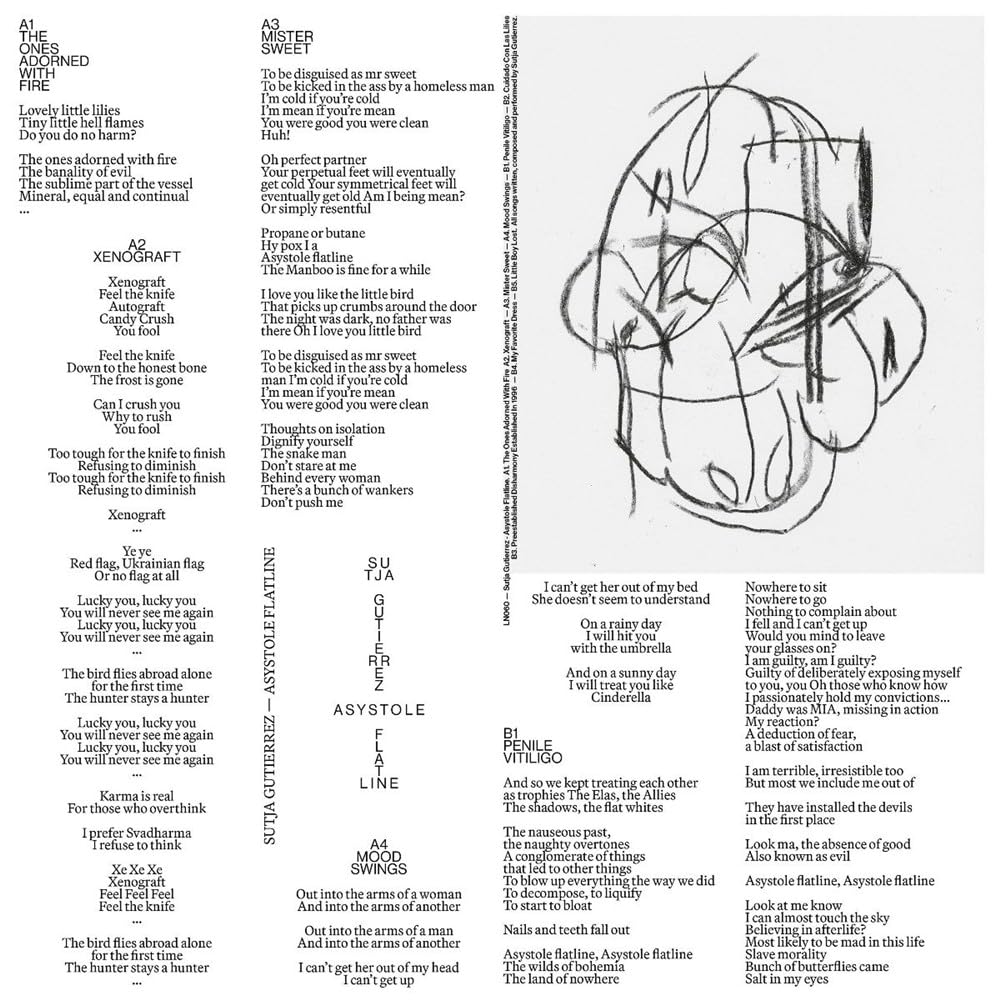 ASYSTOLE FLATLINE [VINYL]