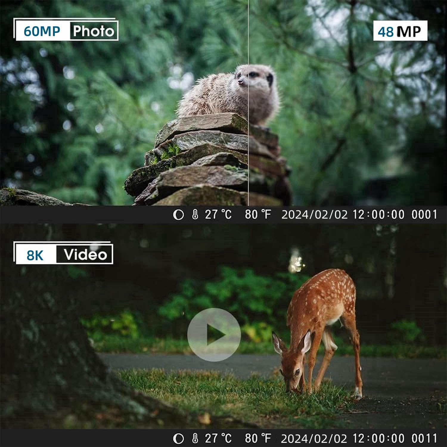 Cámara Fototrampeo 4G App 8K 60MP | Cámara Caza con SIM Envío de Fotos con Aplicación | Cámara Caza Nocturna 940nm IR LED | Tarjeta TF de 32 GB | Tarjeta SIM