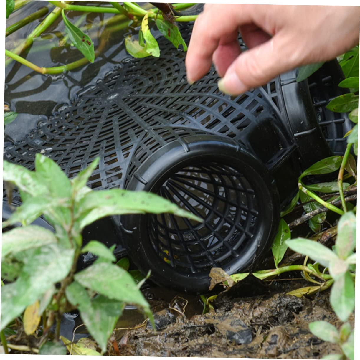 Supvox Aalfalle Krabbenfalle Garnelenfalle - Fischreuse Köderfalle für Aal Krabben und Süßwasserfische - Angelzubehör für See Fluss und Teich