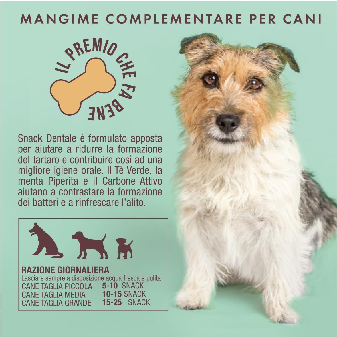 Marty & Co - Snack Dentale- Biscotto- Migliora Alitosi e Previene e Rimuove Tartaro -per Cane e Gatto -Con Menta Piperita, Tè Verde, Vitamina A,D, E, CarboneVegetale Attivo - gr 80