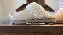 Review Image by Taylor Taylor