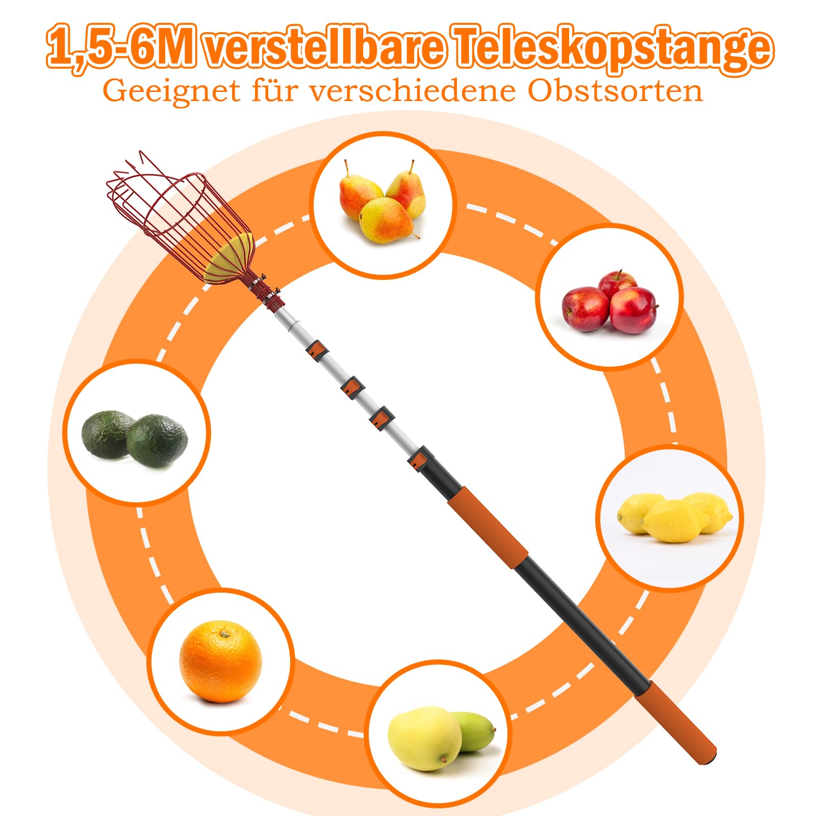 SISIUPASSIE 6m Obstpflücker mit Teleskopstiel – Apfelpflücker mit Großraum-Obstkorb, Pflückhilfe zum Pflücken von Äpfeln, Zitronen, Orangen, Mangos, Avocados