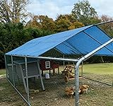 Review Image by Tinka Somerville