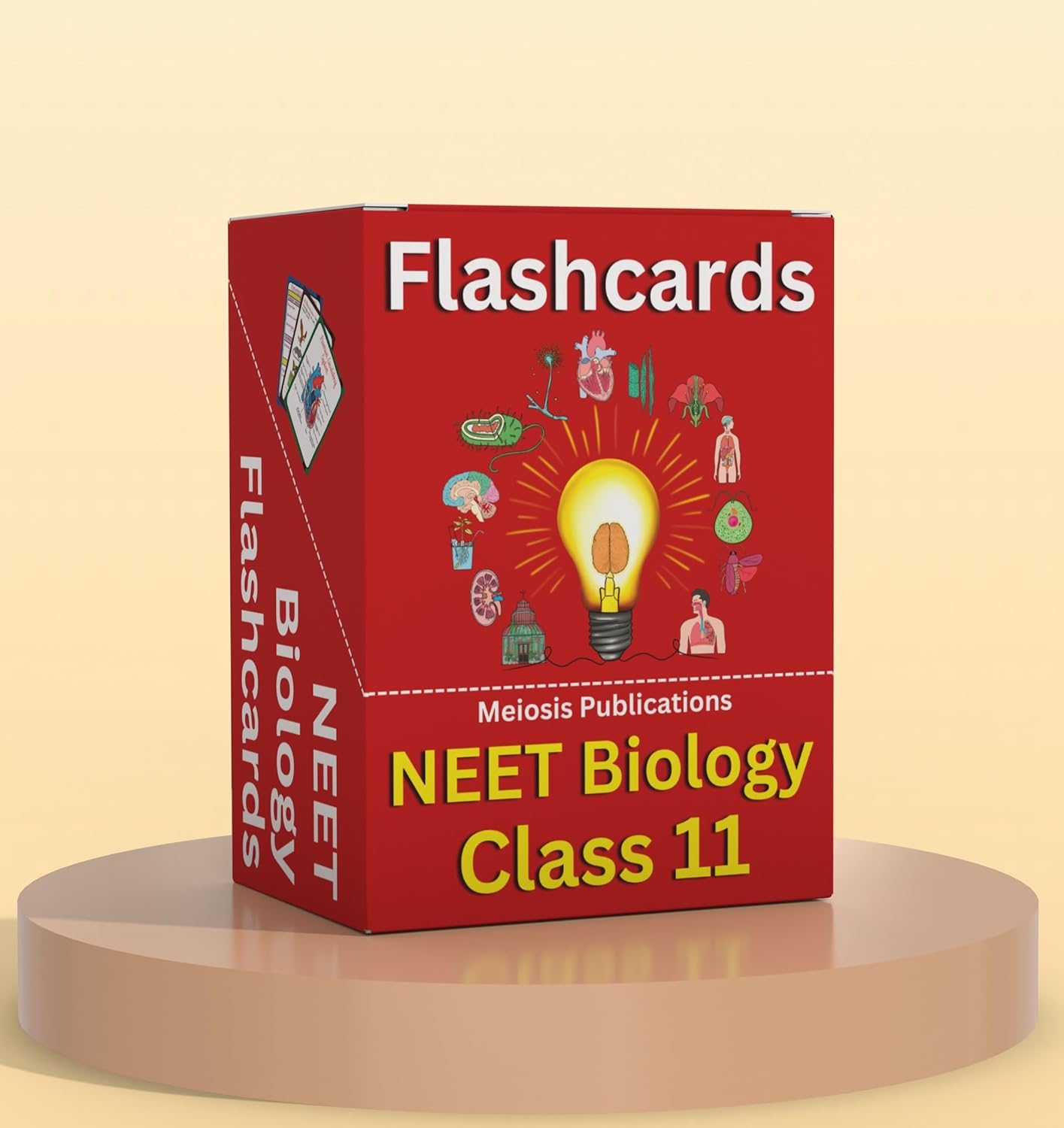 NEET UG Flashcards for Complete Biology Class 11 Revision 1 Cardbook