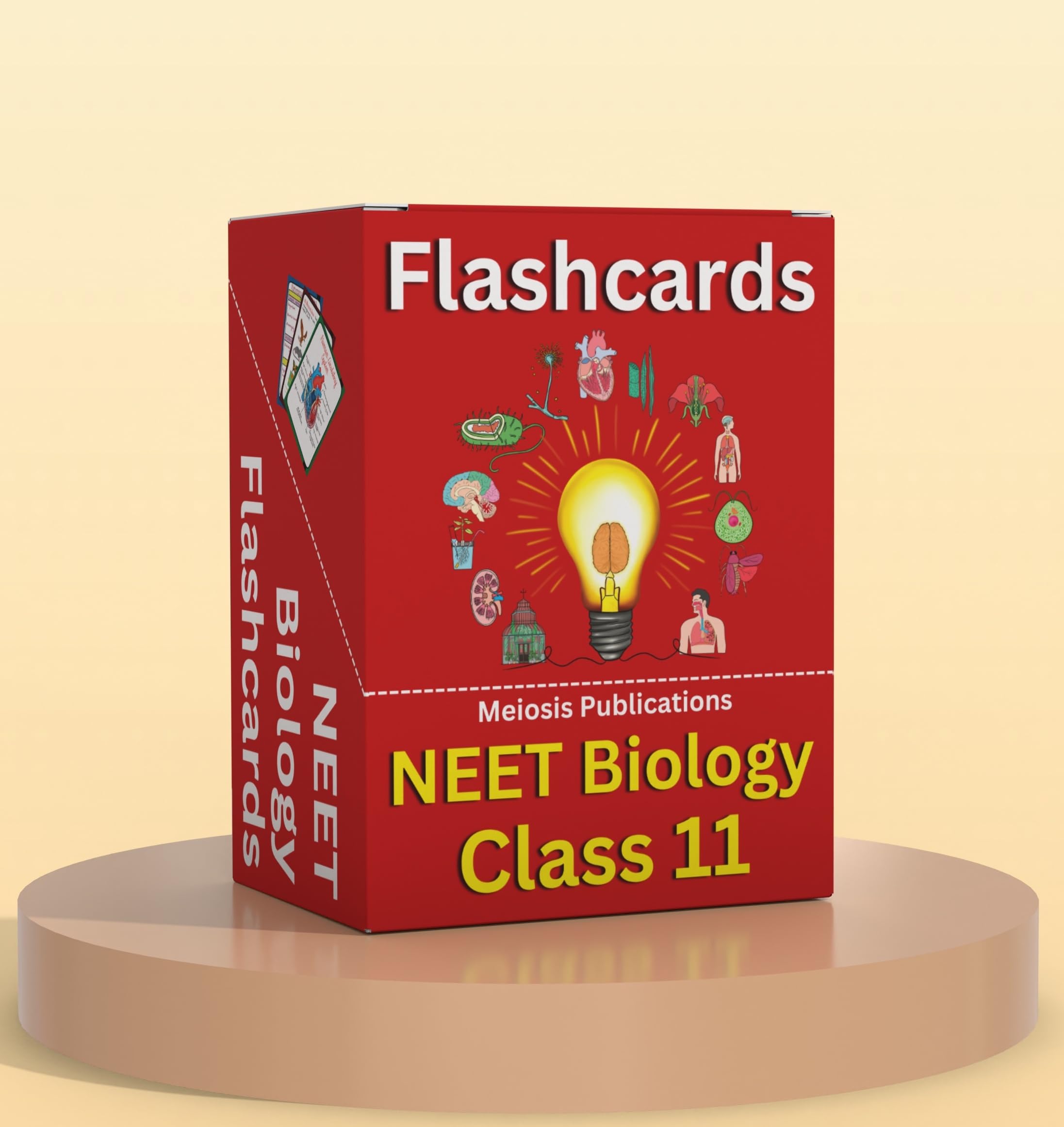 NEET UG Flashcards for Complete Biology Class 11 Preparation | Meiosis Publications | NEET 2025/2026/2027