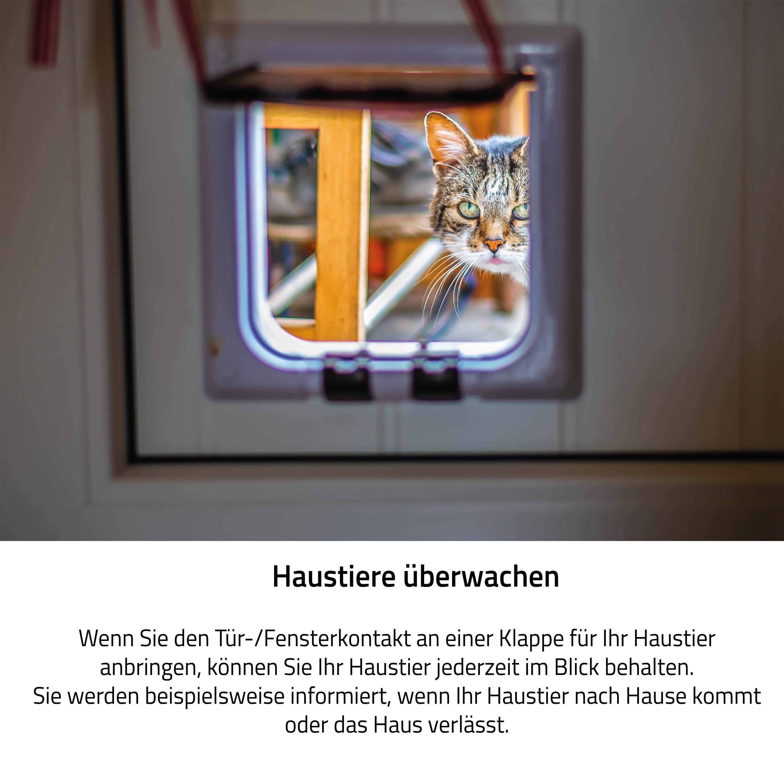 Eurotronic 700203 Tür-/Fensterkontakt Z-Wave Plus (Sensor zur Überwachung von Fenster & Türen, intelligentes Smarthome Zubehör, optimierte Energieersparnis & Schutz vor Einbruch)