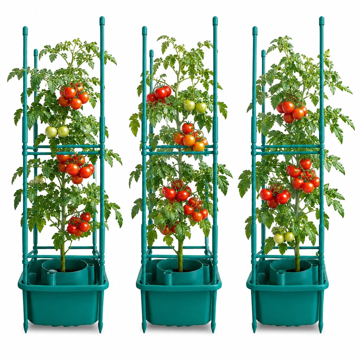 Plant Halo With Support Trellis Ladder Watering Ring for Tomatoes Self Watering Irrigation Planter System Tomato Grow Ring Root Watering Device for Garden Pots Raised Beds & Greenhouse Vegetables (3)