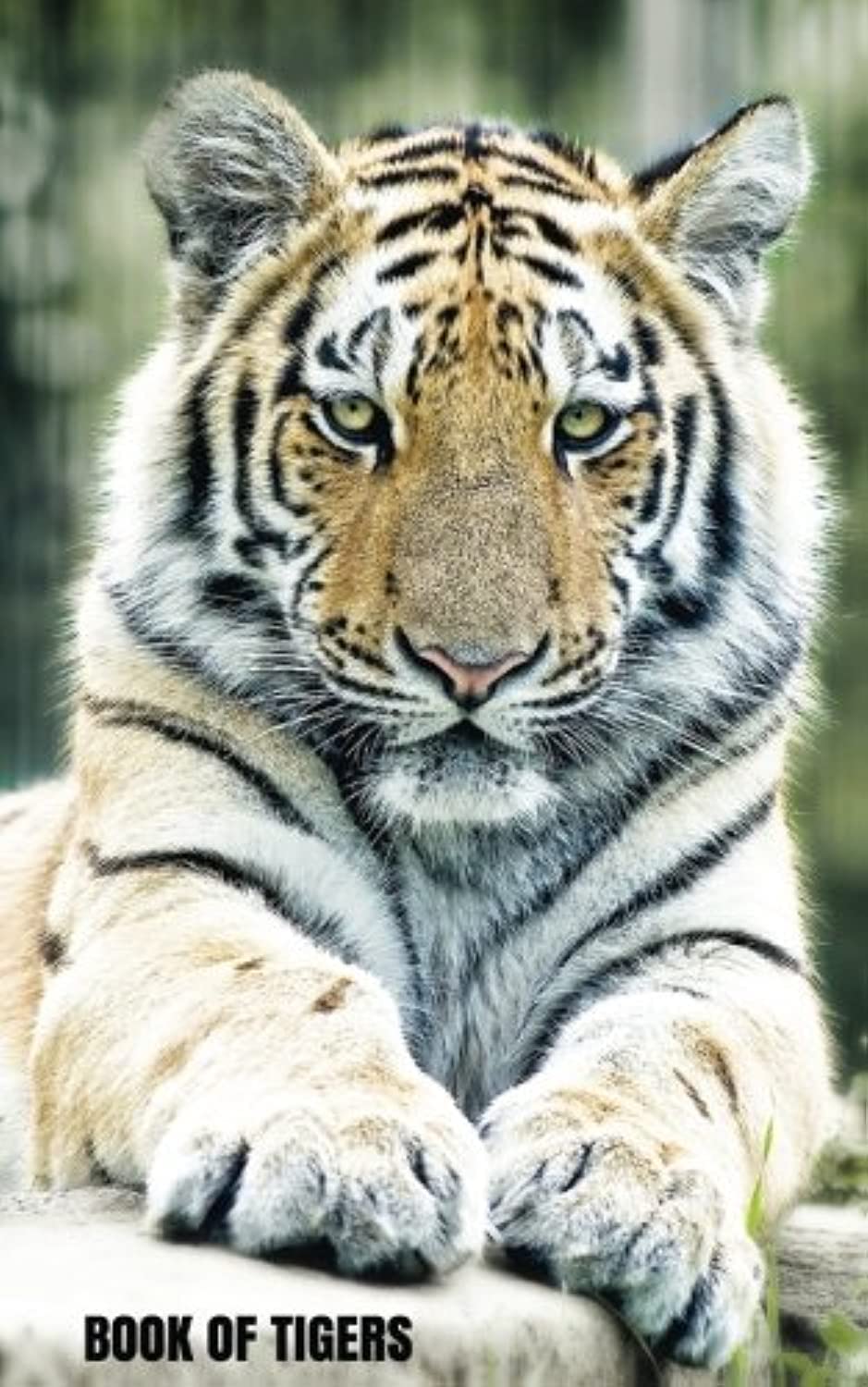 Book of Tigers: Password Organizer, Password Storage, Internet Address, Logbook, Diary, information, internet safety, Journal, Notebook, Directory, ... to store your information (personal safety)