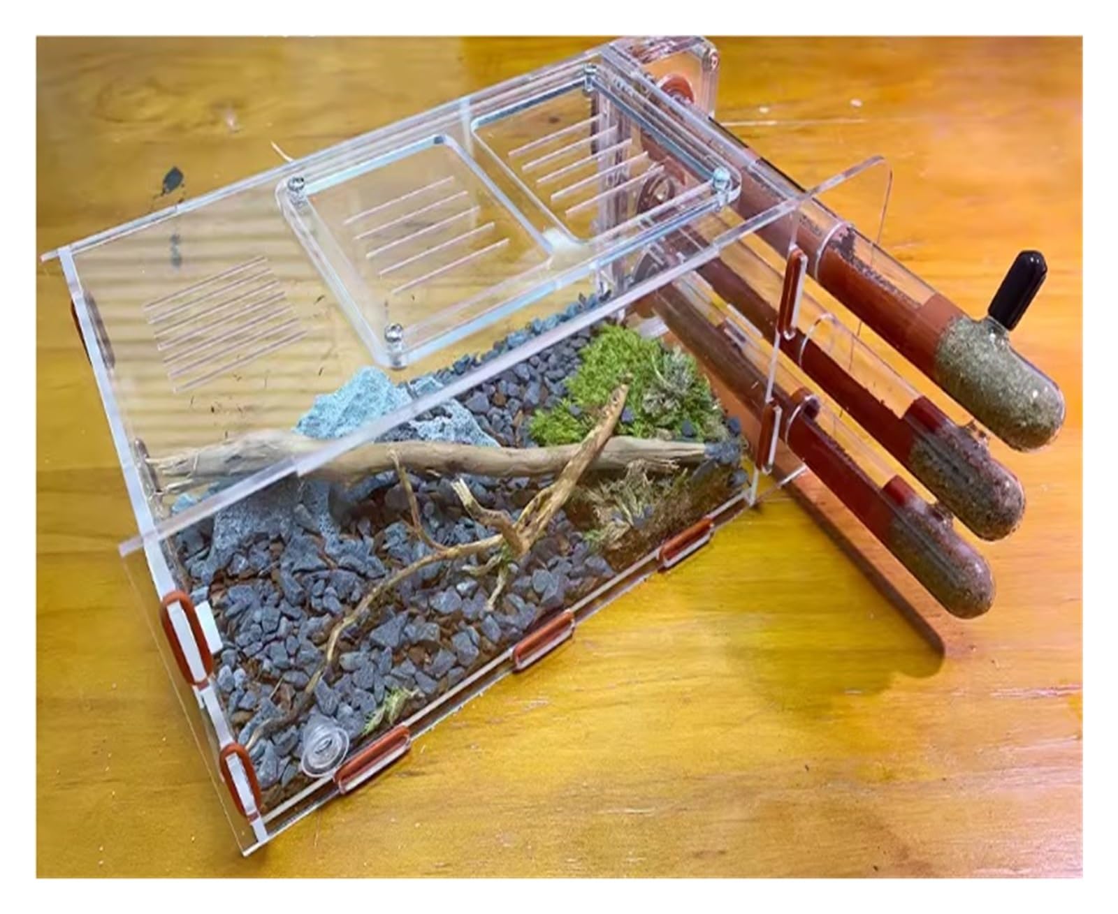 Ameisenfarm für Erwachsene Ameisenfarm-Nest Für Lebende Ameisen, Pädagogisch Wertvoll, Mit Wasserturm, Pflegeraum Und Umfassender Beobachtung Ameisen Terrarium